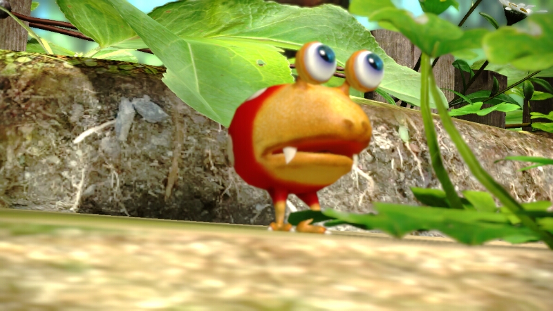 Creature of the Day! tweet media