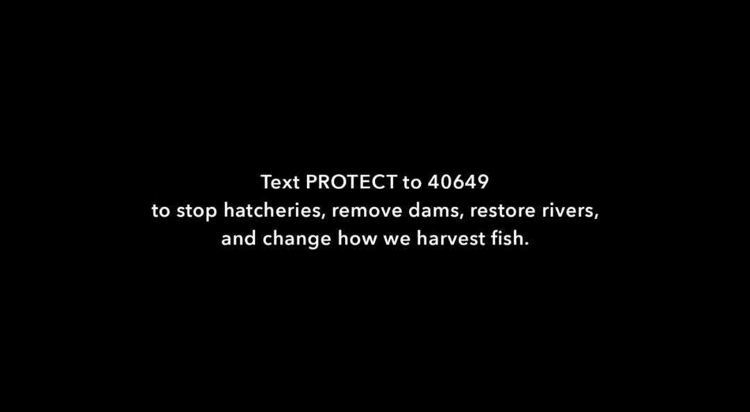 cannicope's tweet photo. Working on schoolwork and a notion comes to mind. #TwitterNatureCommunity #TwitterNaturePhotography would be a great place to spread the word about what we need to protect. Just watch #Artifishal on YouTube and I gotta agree with all of it. Check it out if you have the time! https://t.co/vKYf2DKlIS