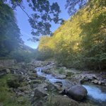 ツイートに含まれる画像