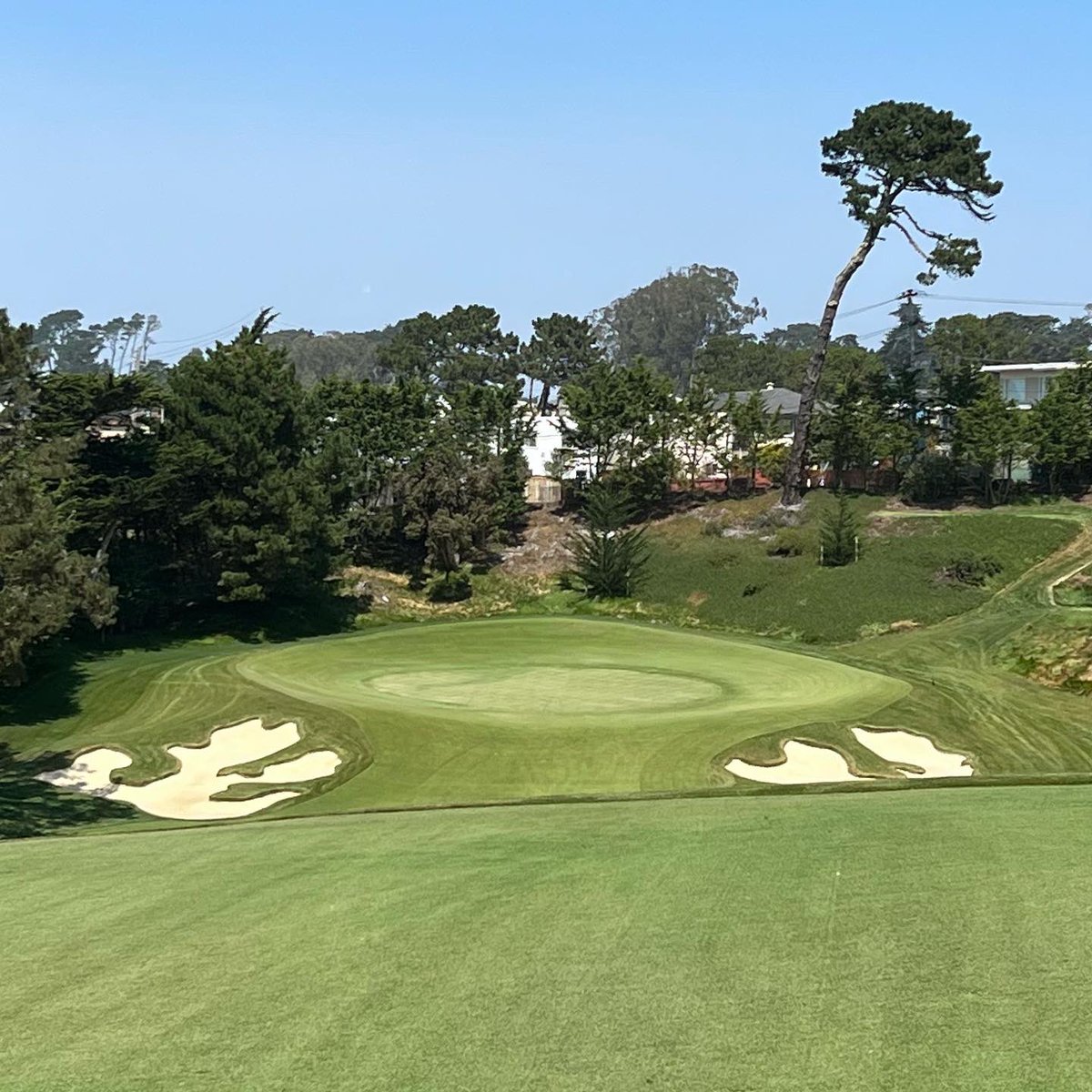 JStewgolf tweet media