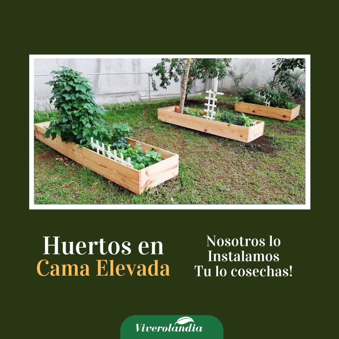 Huerto Orgánico - Cultiva tu Propia Comida en Casa!
Nosotros te ayudamos con la instalación inicial, llevamos todos los materiales y algunas plantas o semillas para que tu continúes con el proceso de cuidar y cosechar todo lo que el huerto produce 😋🌽🍅🥑🌶🥬
whatsapp 66722446