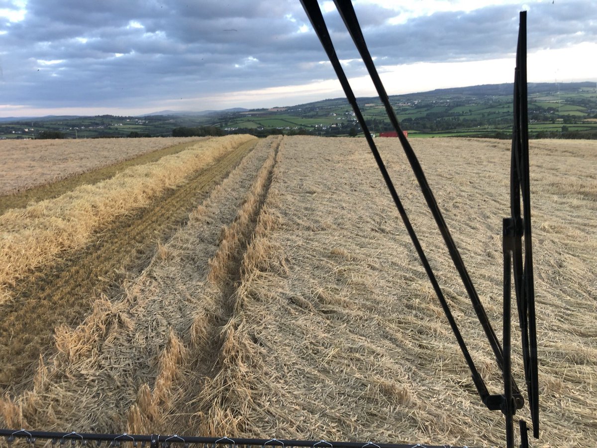 Cloonpotato's tweet photo. @IainWW101 Your very lucky. We had 40mm last Saturday night accompanied by high winds. It’s been a fun day https://t.co/Rc15SBsCxE
