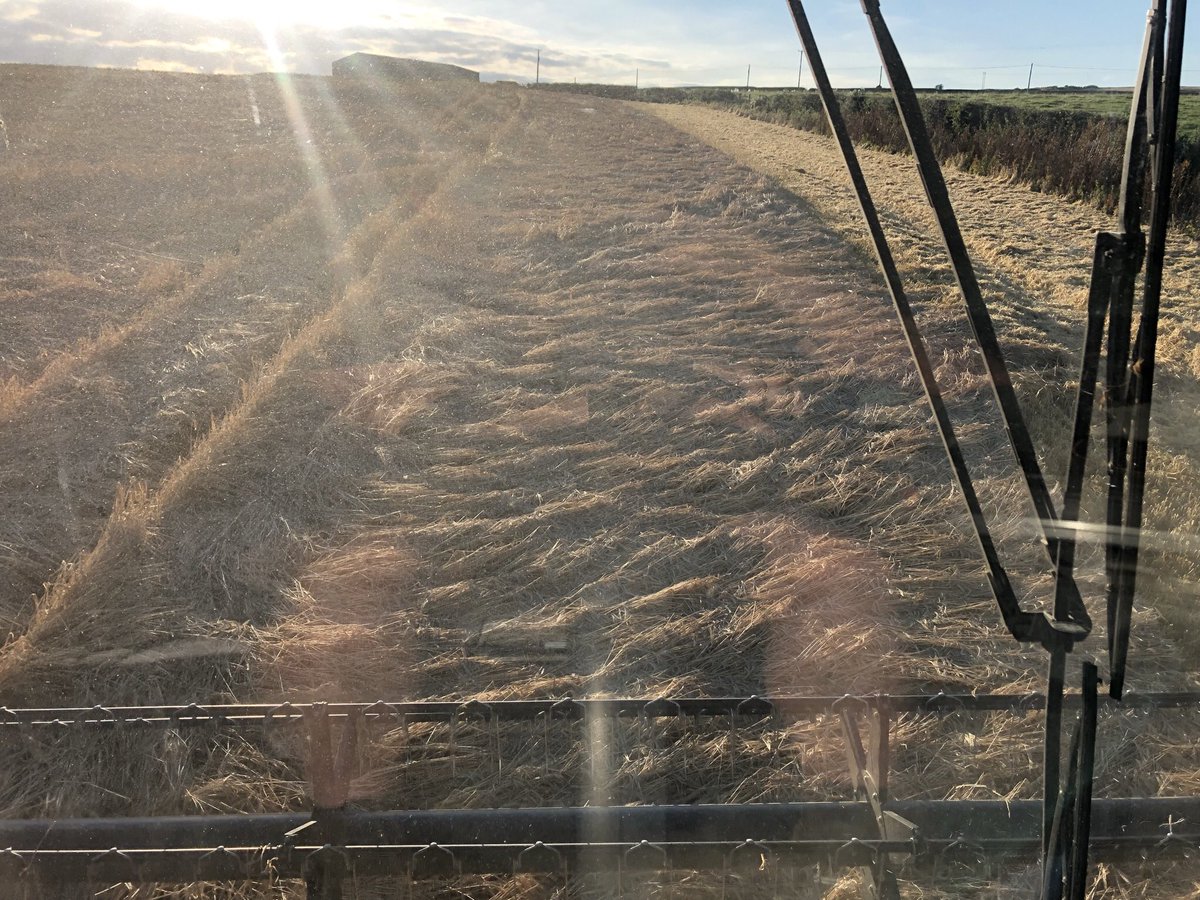 Cloonpotato's tweet photo. @IainWW101 Your very lucky. We had 40mm last Saturday night accompanied by high winds. It’s been a fun day https://t.co/Rc15SBsCxE