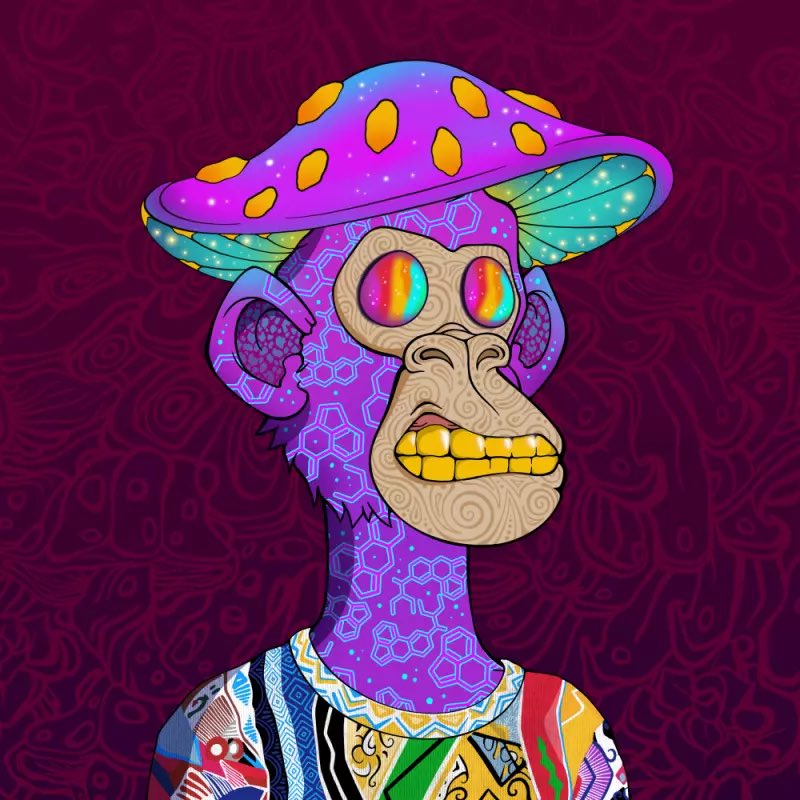 Pinchacho13's tweet image. Do Trippin Ape follow Trippin Ape?? 👀 @trippinapes