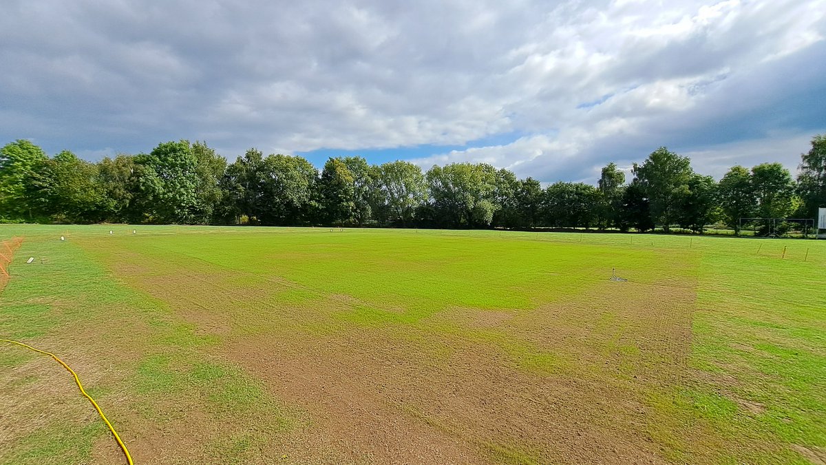 Just 8 days after renovation by <a href="/jgcsportsturf/">JGC Sportsturf</a> and the grass is germinating nicely.