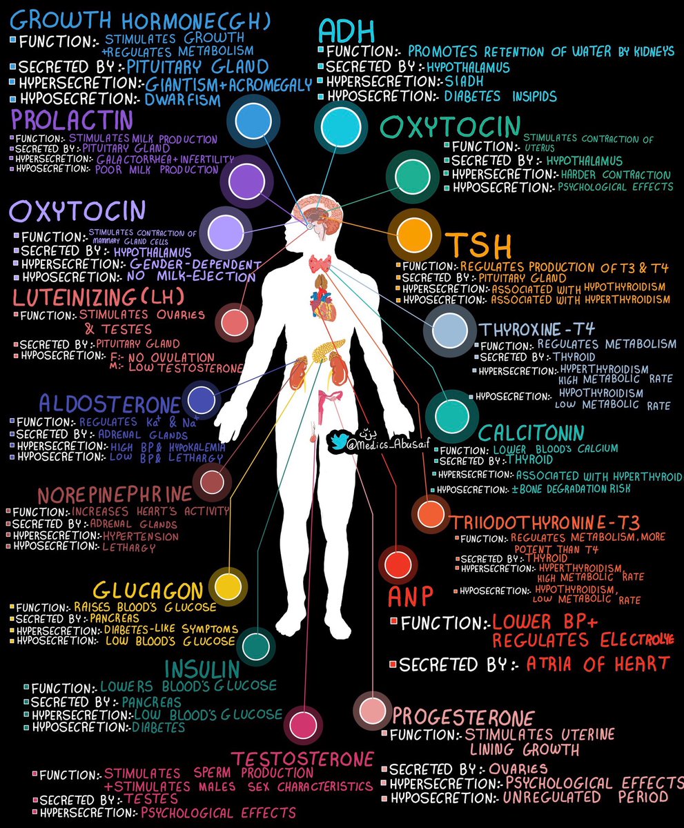 Pituitary hormones and their functions <a href="/medics_AbuSaif/">يـزّن الغماس</a> #BJHM #MedEd #FOAMed #Medtwitter #Neurotwitter