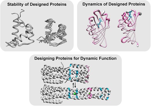 Oxford Journals (@oxfordjournals) on Twitter photo Browse the latest article addition to the Hot Topics collection of reviews from <a href="/ProtEngDesSel/">PEDS: Protein Engineering, Design & Selection</a>. The article dives into how #protein stability, dynamics, & function are intricately linked. View the full collection of free-to-read articles: bit.ly/3BJW1On <a href="/Chica_lab/">Roberto Chica Lab</a> Browse the latest article addition to the Hot Topics collection of reviews from <a href="/ProtEngDesSel/">PEDS: Protein Engineering, Design & Selection</a>. The article dives into how #protein stability, dynamics, & function are intricately linked. View the full collection of free-to-read articles: bit.ly/3BJW1On <a href="/Chica_lab/">Roberto Chica Lab</a>