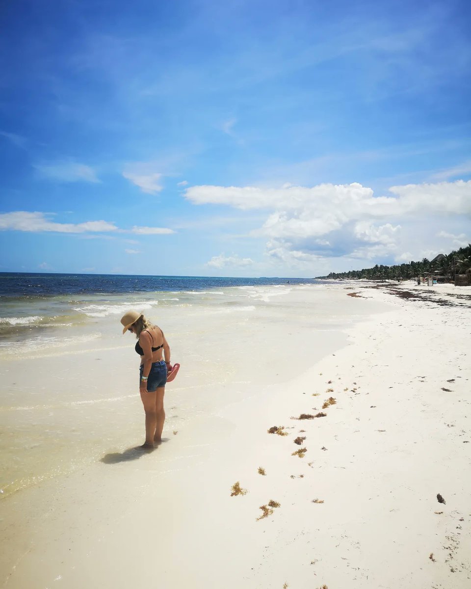 JCar47's tweet photo. 🇲🇽 #Tulúm #RivieraMaya #Caribe #caribemexicano #Mexico https://t.co/LO2wcwyz6A