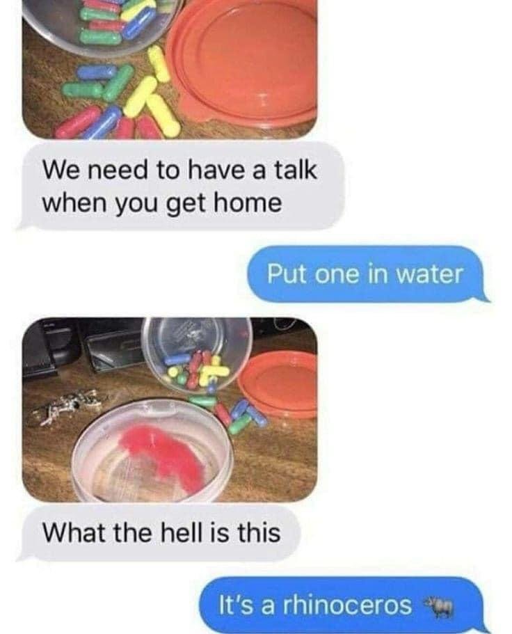 WholesomeMeme's tweet photo. https://t.co/Pe6ePem3mv