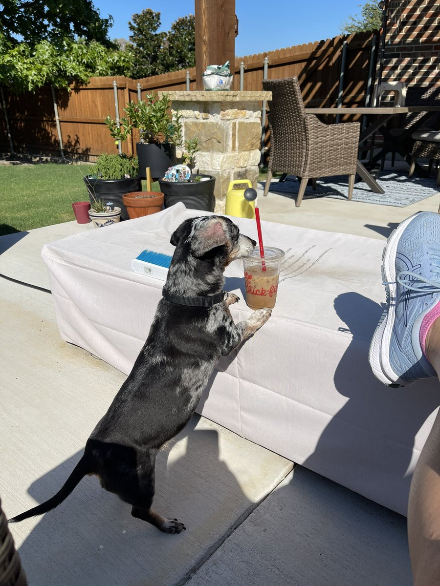 Everybody loves an iced coffee from <a href="/ChickfilA/">Chick-fil-A, Inc.</a>