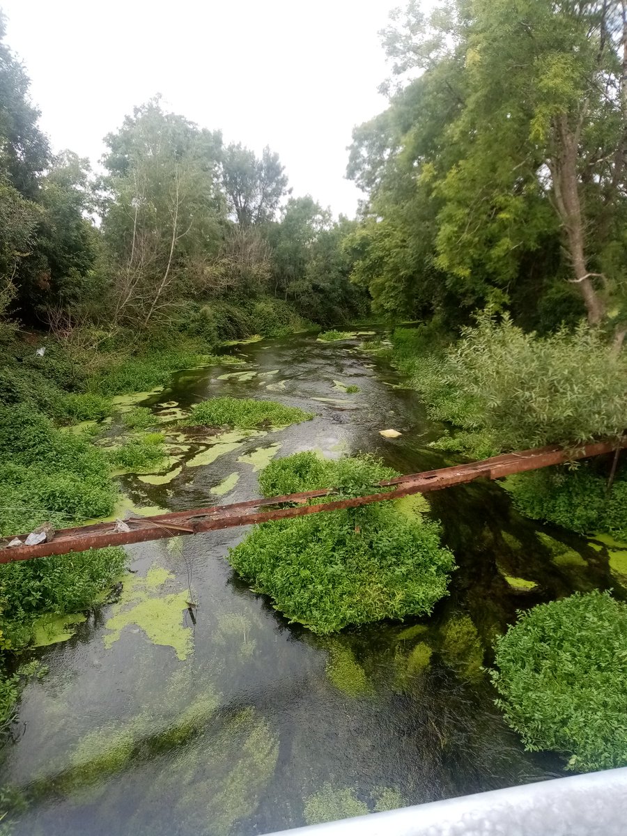 sopelza's tweet image. The new and the old bridges.... Some difference .. .completed the potential source of pollution survey in the Gort River ..walked and dove whilst the wee one were cycling.  #buddyststem #neverdivealone #soothersmaylive have a great weekend shipmates #gomairidosbeo