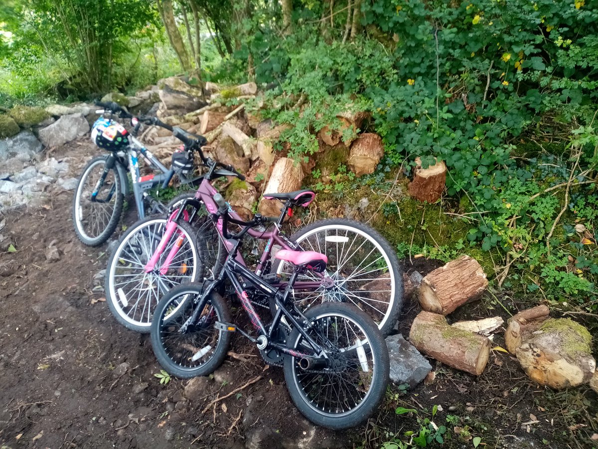 sopelza's tweet image. The new and the old bridges.... Some difference .. .completed the potential source of pollution survey in the Gort River ..walked and dove whilst the wee one were cycling.  #buddyststem #neverdivealone #soothersmaylive have a great weekend shipmates #gomairidosbeo