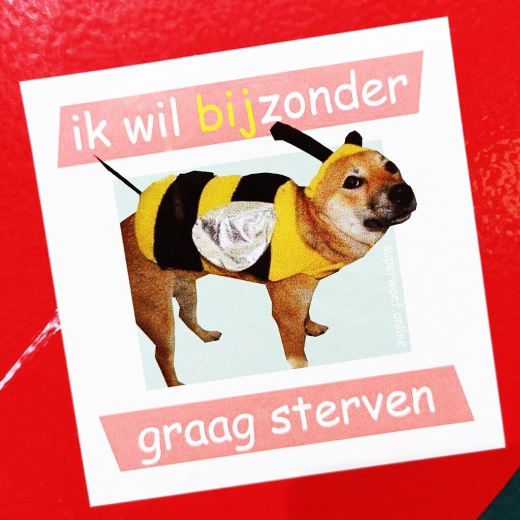 haal stickers waarvan je denkt 'deze hond weet what's up' bij superwoef.online 🙏 instagr.am/p/CiVZ4StqnbU/
