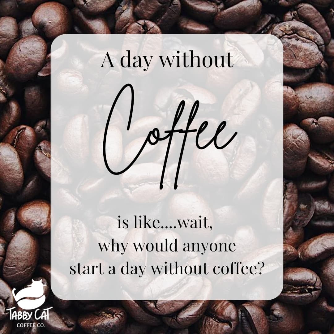 tabbycatcoffeec's tweet photo. ๐นโ๏ธ
#coffeelover #cathealthcare #ilovecoffee #cathealthtips #catvet #coffeewithapurrpose #specialtycoffee #coffeebreak #lovecats #coffeevibes #cathealth #cathealtheducation #singleorigincoffee #weekendvibes #tabbycatcoffeeco #sipcoffeehelpcats #CatsOfTwitter #funnymemes https://t.co/U6x5YBhutW
