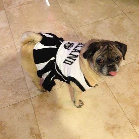 KellyWilden's tweet photo. #Raiders #justwinbaby https://t.co/AvEDy2F7YZ