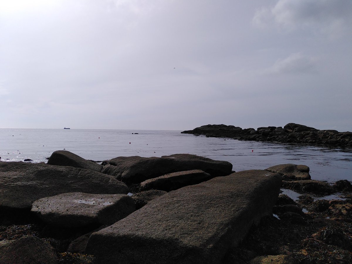 nora_mare's tweet photo. Successful day 1 of #ScillysFieldwork at Porth Hellick on #StMarys for the #historicalSWsurvey as part of my PhD project. Thanks to @_DrKatieSmith and @cat_wilding and massive #kelps βΊοΈ https://t.co/09WT47cNc1