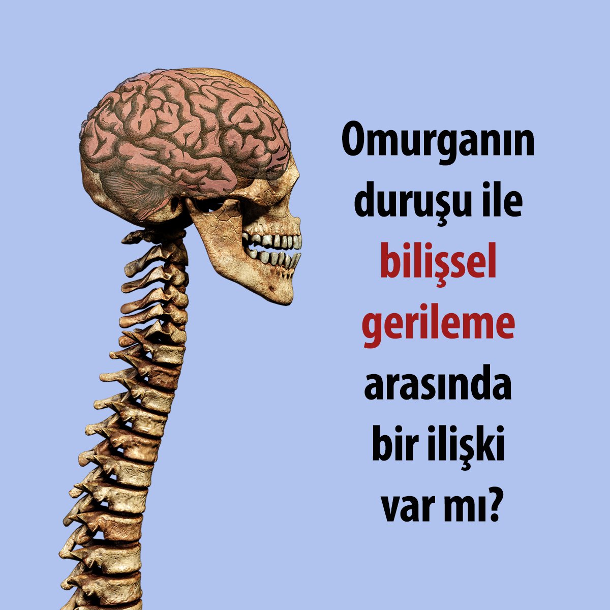 1- Hem bilimsel hem de toplumsal minik bir analiz. 
Güzel nöronlar için sağlam bir omurga şart :)