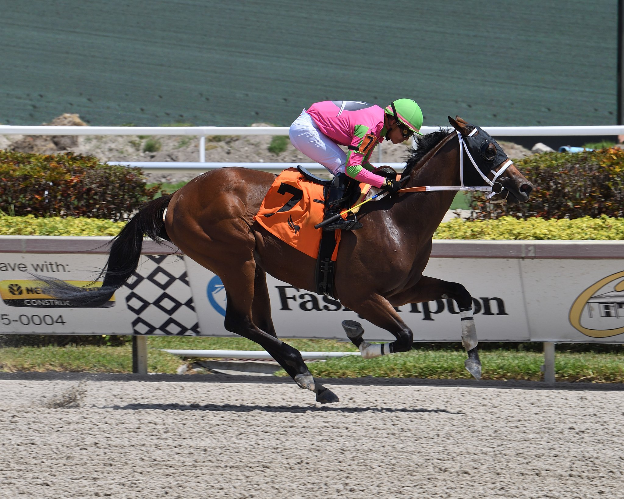 Gulfstream Park Scratches And Changes - oorj66j