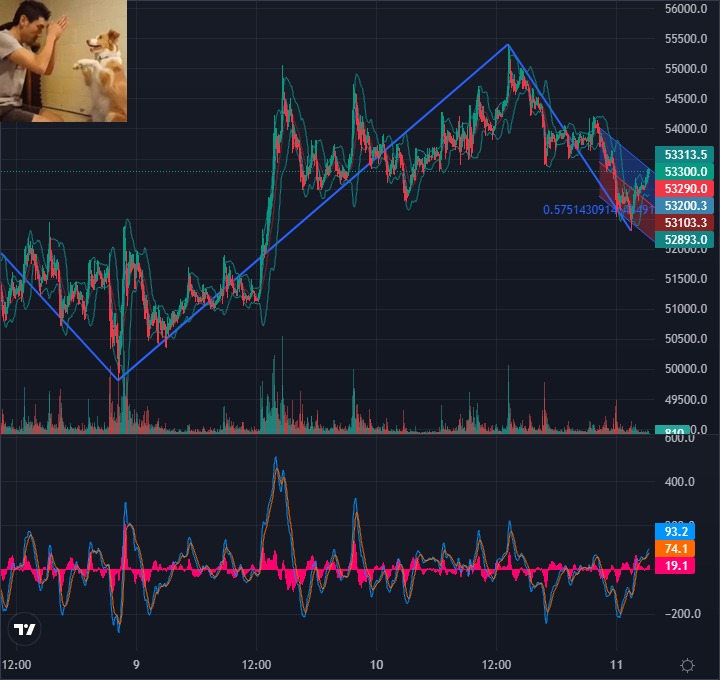 COINRBI tweet media