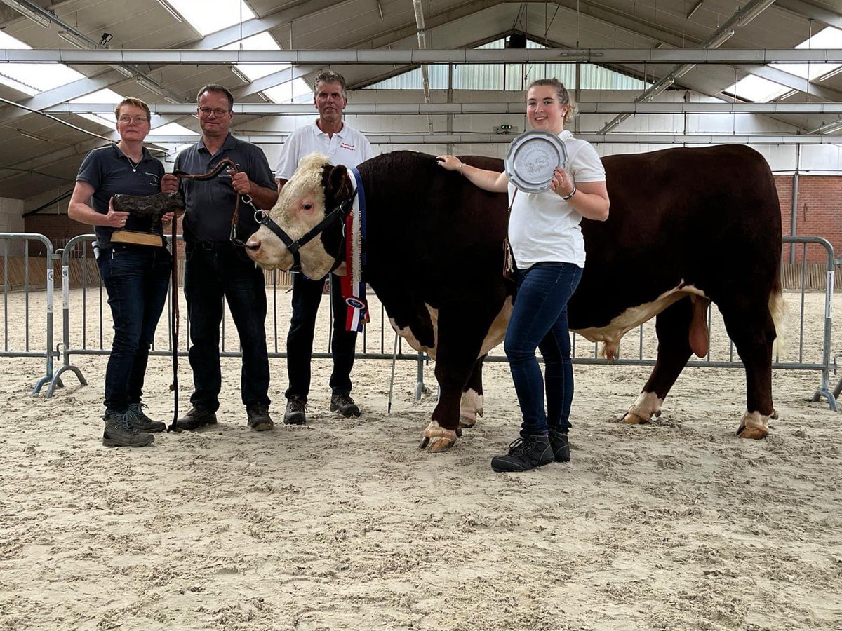 bhietberg's tweet photo. Als dierenarts ook trots op (vele) mooie prestaties van onze veehouders zoals deze vandaag…
Algemeen kampioen Hereford Nederland, de stier Samson. Hij woont bij familie Jobing, tevens adres voor verse melk #melktap Grolloo https://t.co/Wa3VBqGut4