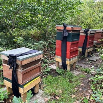 Love the tradition that the Royal beekeeper has told the Queen's bees that "the lady has died" and tied black ribbons to the hives.

As I gave The Late Queen a jar of <a href="/bishopsgardens/">Head Gardener</a> honey each year, I’ve just told my three queens about Queen Elizabeth’s death and our new King.
