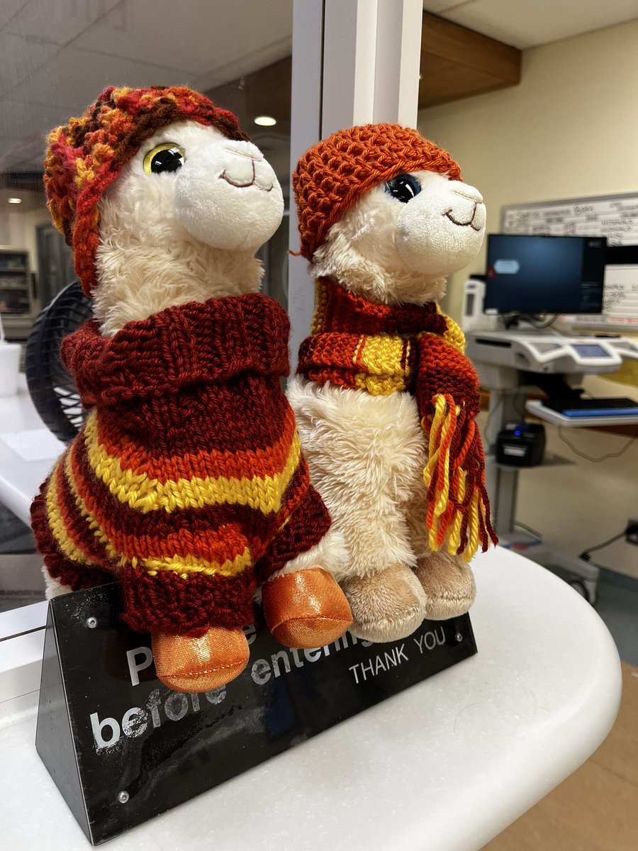 Michelle Morais (@dr_mmorais) on Twitter photo Must be time for pumpkin spice lattes as the L+D mascots are ready for fall! <a href="/McMasterOBGYN/">McMaster Obstetrics and Gynaecology</a> <a href="/mch_childrens/">McMaster Children's Hospital</a> Must be time for pumpkin spice lattes as the L+D mascots are ready for fall! <a href="/McMasterOBGYN/">McMaster Obstetrics and Gynaecology</a> <a href="/mch_childrens/">McMaster Children's Hospital</a>