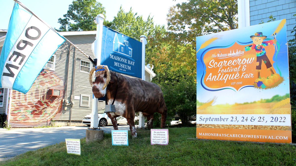 MahoneBayMuseum's tweet photo. Our oxen has been scaring dogs😅while also promoting the Mahone Bay Scarecrow Festival &amp; Antique Fair, which is coming up Sept 23 - 25th! Visit their website for more info: https://t.co/tkmYqWGUNJ https://t.co/SByxd4JIvz