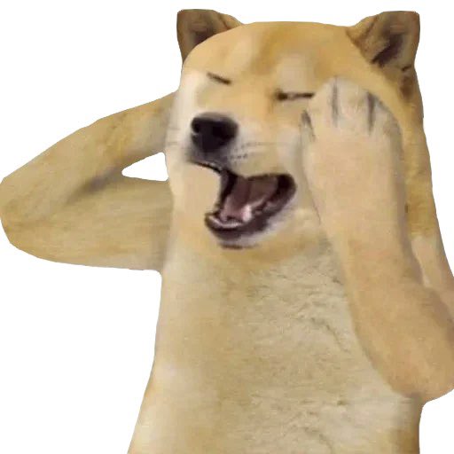 互联网诗人 (@drqchill) on Twitter photo 