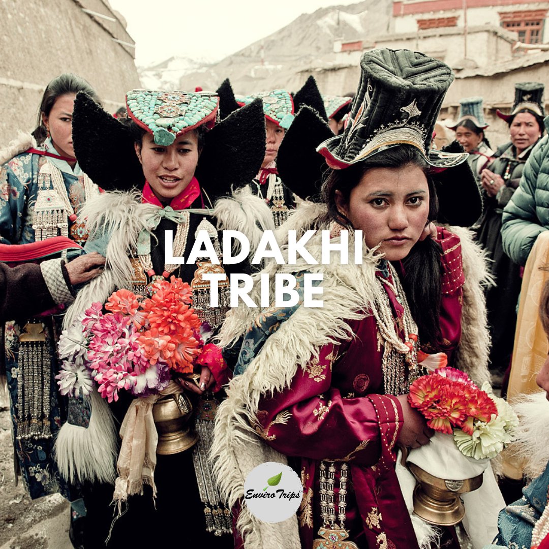 ENVIRO_TRIPS's tweet photo. LADAKHI TRIBE:

• Ladakhis or #ladakhi people are an ethnic group &amp; first-language speakers of the Ladakhi language living in the Ladakh region in the northernmost part of India.

• Tourism is very common in the villages of these #tribes. 

#ladakhiculture  #tribesofladakh https://t.co/0TpVbCPREQ
