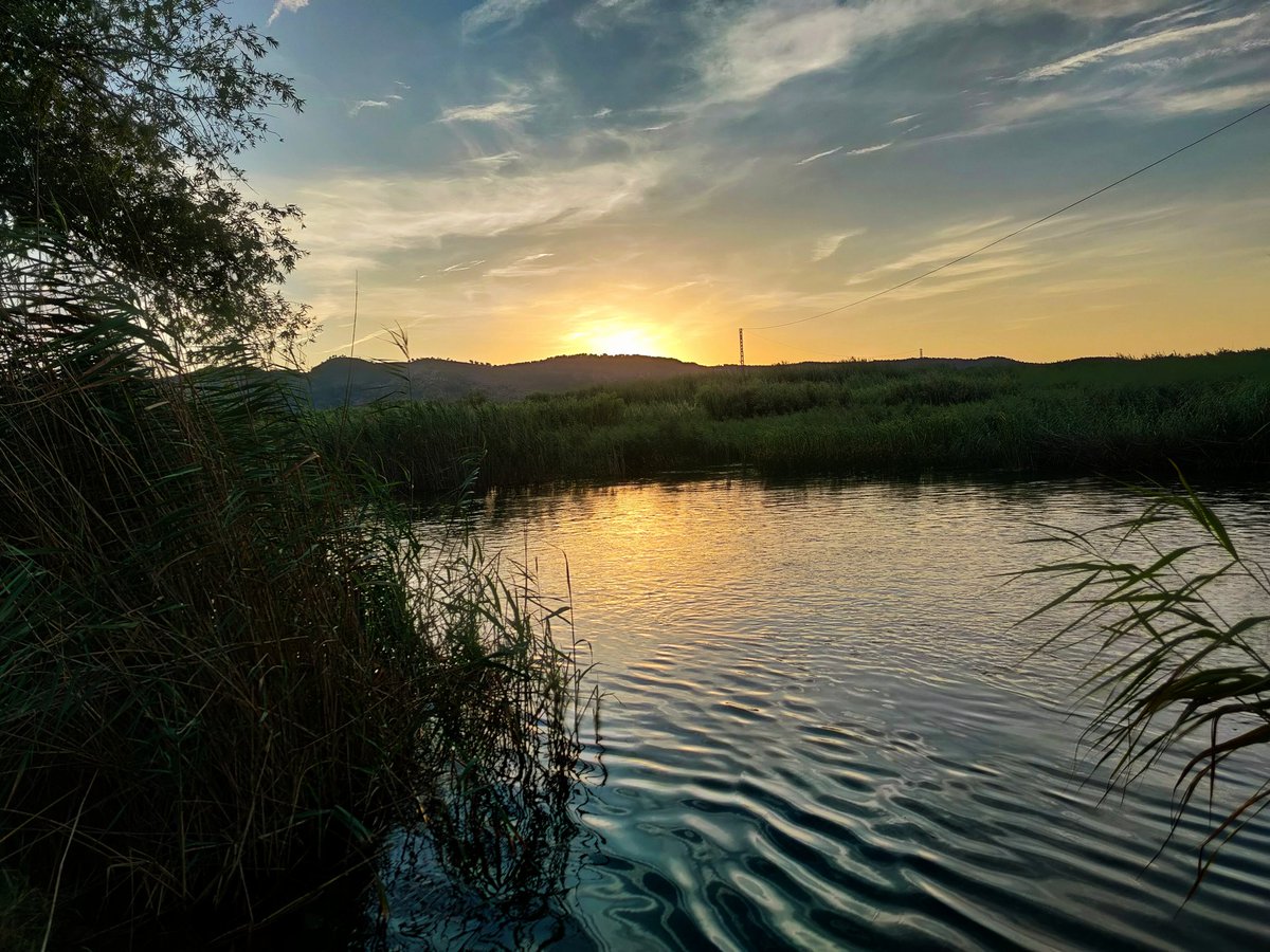 JLGLlagues's tweet photo. Assut #sunset #assut #río #river #disabte #antella #laribera #atardecer #atardeceres #mobilephotography #mobilepic #oppofindx2pro #water https://t.co/AsNp7czRi7
