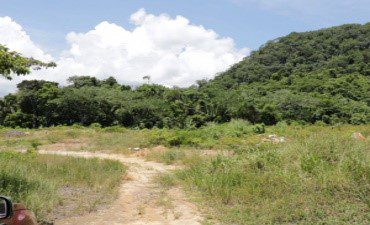 caribbeannewsuk's tweet photo. #BELIZE: The government has effectively dismissed a plan by the United States-based international mining company, Vulcan Materials to acquire lands. https://t.co/OCVYNWH2l2