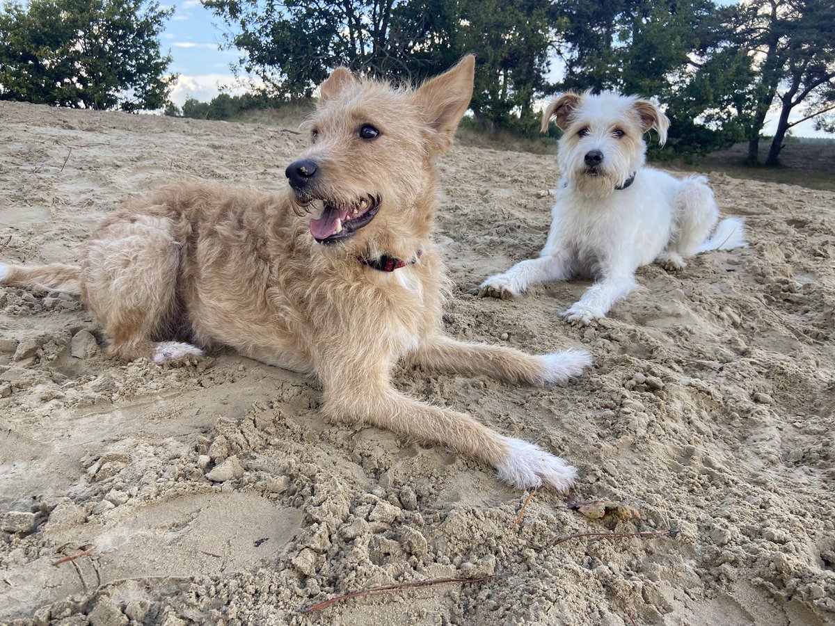 peterstreasury's tweet photo. Today we reunited them. 🥰 https://t.co/EtrQgyZGZU