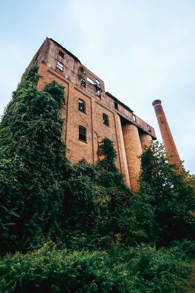 TDP_URBEX's tweet photo. This #abandoned location was pretty dope! I can’t get over Mother Nature claiming what’s hers! #urbex #photography #backontwitter #photooftheday https://t.co/L2EMLafSJy