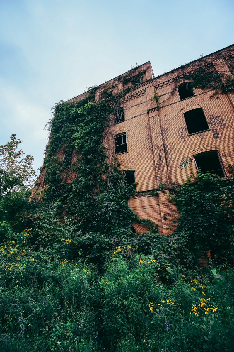 TDP_URBEX's tweet photo. This #abandoned location was pretty dope! I can’t get over Mother Nature claiming what’s hers! #urbex #photography #backontwitter #photooftheday https://t.co/L2EMLafSJy