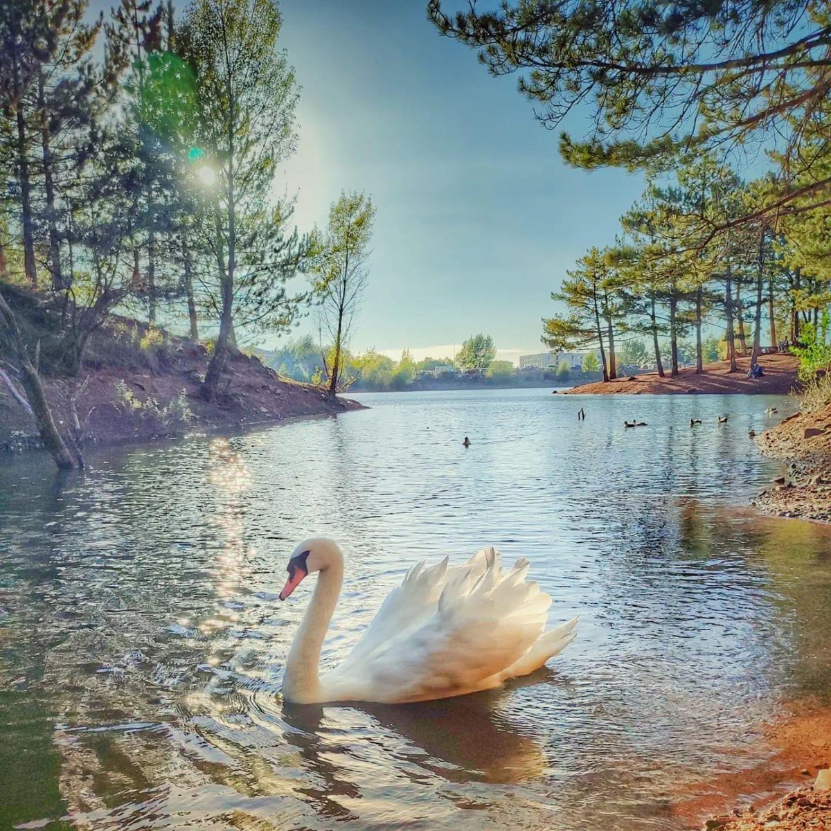 #Yozgat Çamlık göleti