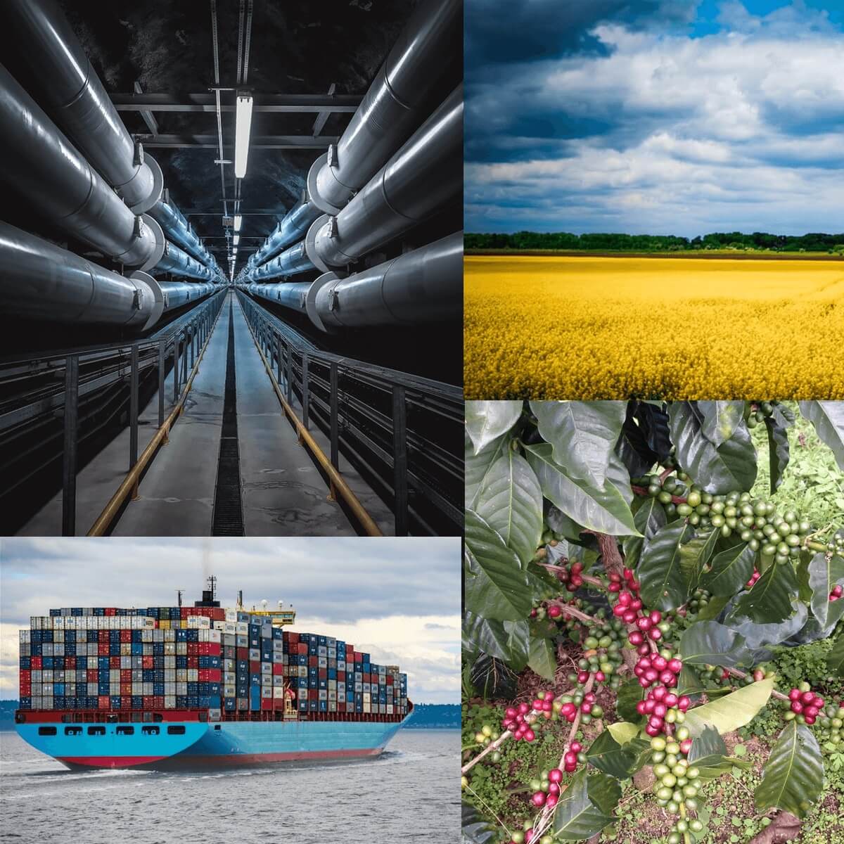 "I've been reflecting on what we [EA] do, how we do it and why out direct trade approach is so important to us. I also have a lot of new information running around my head with regards to how climate change is dramatically affecting coffee ..." 
eacoffee.co.uk/reflecting-cof…