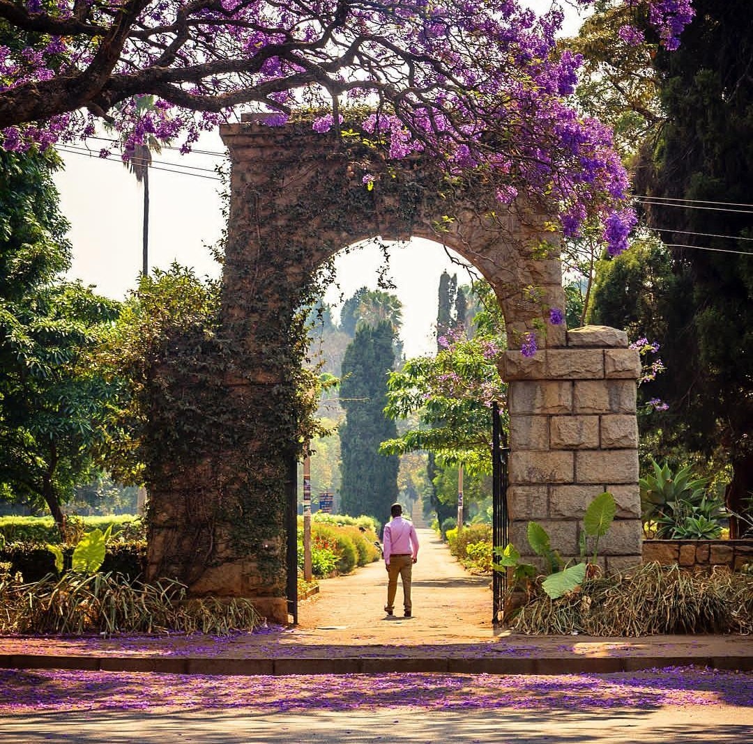 RonSignature's tweet image. Sunshine City