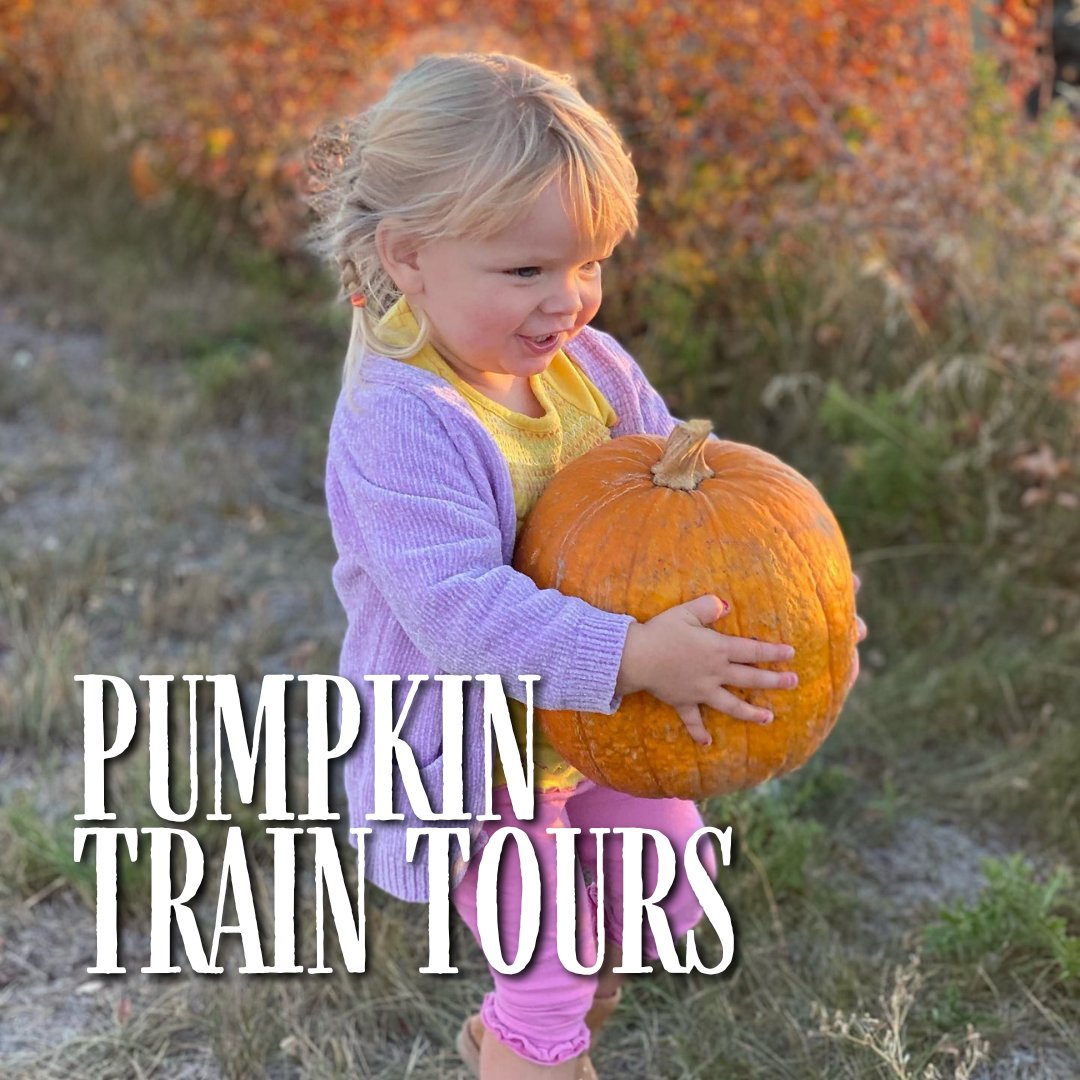 GardensGrotto's tweet photo. Our Pumpkin Train is perfect for all ages! 
Enjoy a ride through the beautiful Fall scenery, stop to meet &amp; feed animals, pick the perfect pumpkin, meet the Pumpkin Princess, enjoy our house-made pumpkin pie, &amp; more.
Spots fill up fast. Book now https://t.co/KUCTALd4IL https://t.co/ceEj4oZnJN