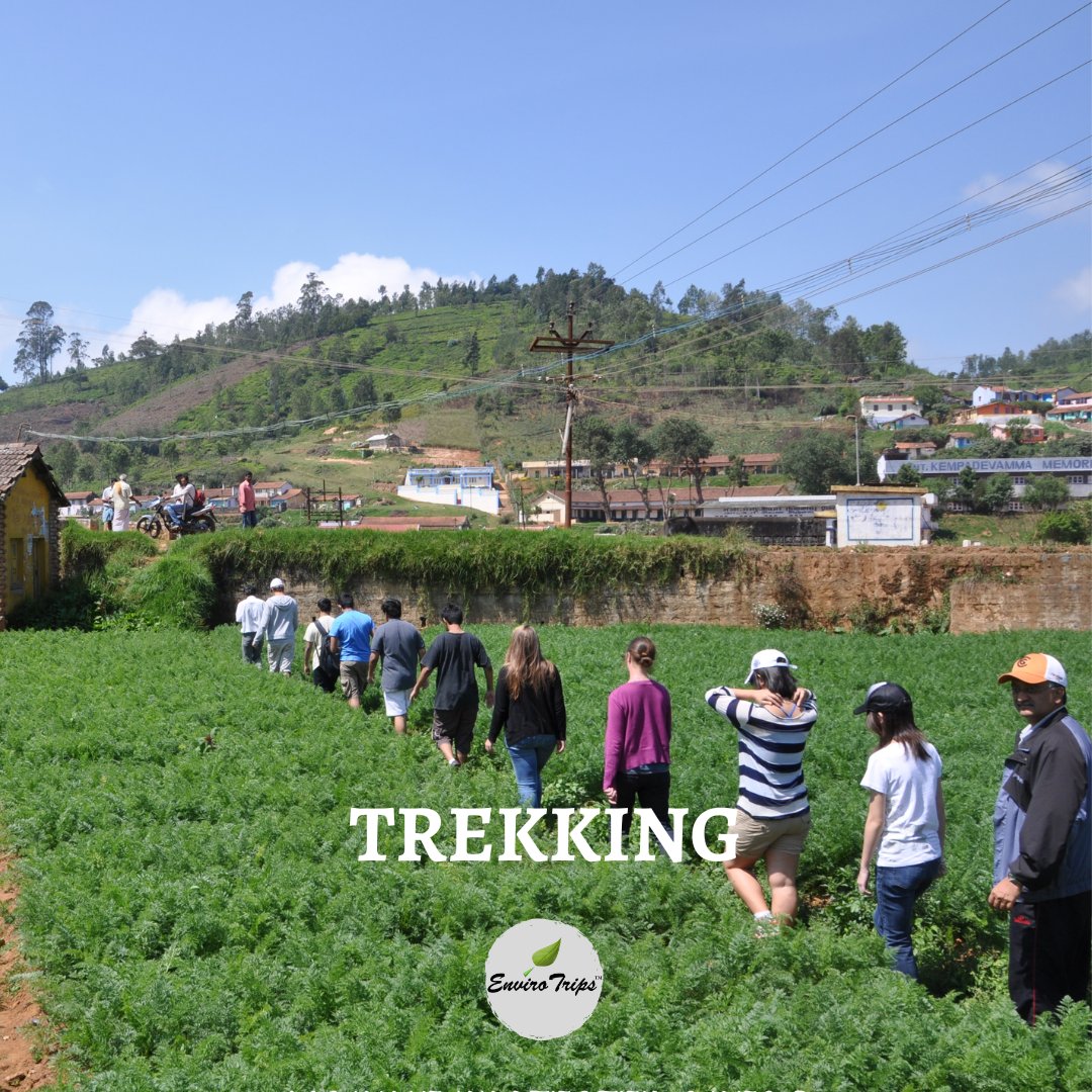 ENVIRO_TRIPS's tweet photo. TREKKING:

• One of the major benefits of #trekking is that it improves your physical health. .

• Spending multiple hours on the trail, climbing around boulders, rock hopping &amp; ascending a hill gives your whole body a workout, improving your strength, agility and cardio. https://t.co/CqDpkVkn6P