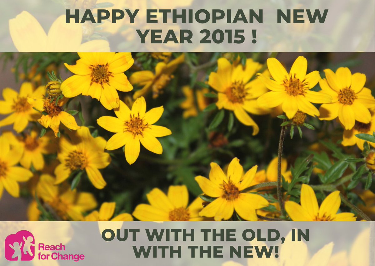 🌼🌼🌼HAPPY NEW YEAR🌼🌼🌼