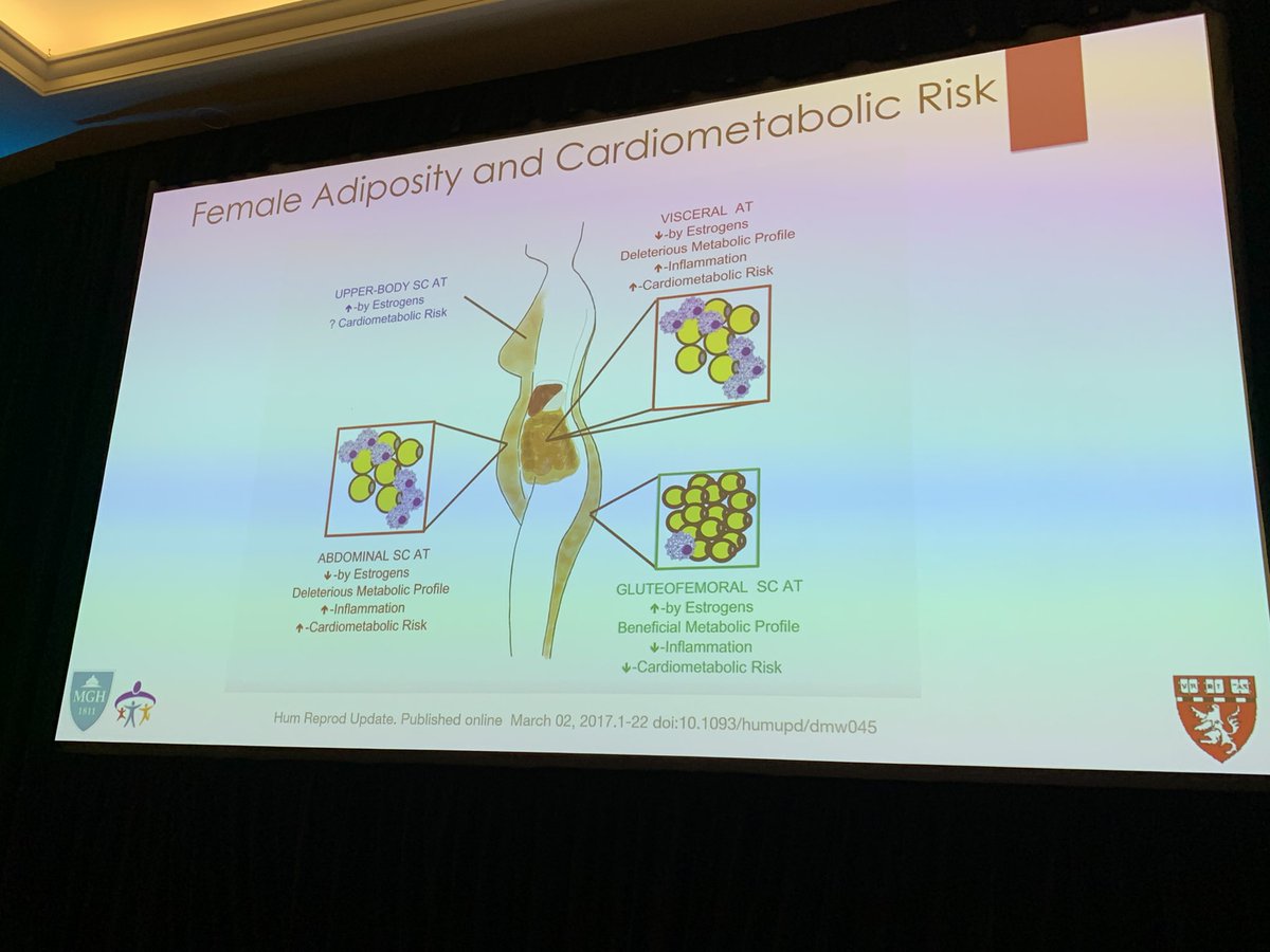 Critical point from @askdrfatima : the location/distribution of adipose tissue predicts associated cardiometabolic risk @CMHC_CME #CMHCWomensMC @PamTaubMD @ErinMichos @CBallantyneMD