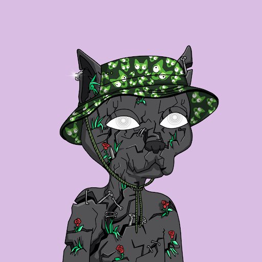 FknAzn's tweet photo. #NewNFTProfilePic I heard today was the day to flex the Cat 🫣 Happy Catturday https://t.co/96heHNDN1R