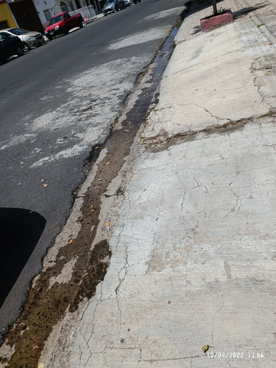 MorettAbril's tweet photo. @siapagdl Fuga de aguas negras en colonia Santa María, calle San Pablo, esquina con Santa Beatriz, es un foco de infección y el olor es bastante fuerte. Vecinos piden de su apoyo https://t.co/9BMJgDKCBF