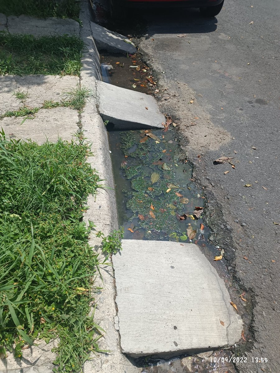 MorettAbril's tweet photo. @siapagdl Fuga de aguas negras en colonia Santa María, calle San Pablo, esquina con Santa Beatriz, es un foco de infección y el olor es bastante fuerte. Vecinos piden de su apoyo https://t.co/9BMJgDKCBF