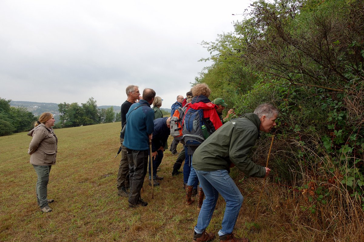 Het telseizoen van de hazelmuis (15/9 – 15/11) werd vandaag vooraf gegaan door een startbijeenkomst bij <a href="/staatsbosbeheer/">Staatsbosbeheer</a> in het Vijlenerbos. Een presentatie van resultaten (30 j) en uitwisseling van ervaringen. Vervolgens het veld in, nesten zoeken - met succes!
<a href="/Zoogdierverenig/">Zoogdiervereniging</a>