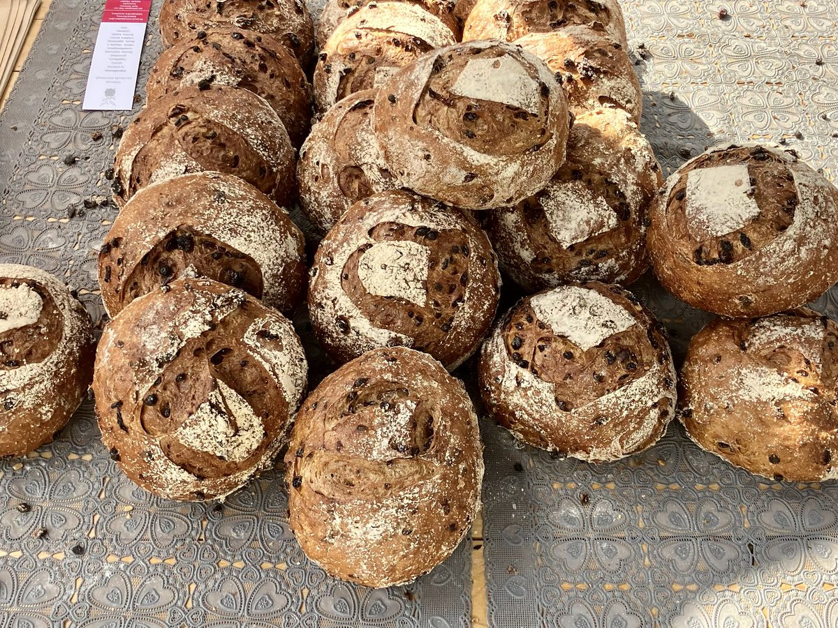 armendepoth's tweet photo. De rust is wedergekeerd in hofje De Armen De Poth na een gezellige dag vol aanloop. Dank eenieder voor de aanwezigheid en geniet thuis lekker na. #openMonumentenDag #Amersfoort #Cultuur #historie https://t.co/1gyEqJEUVd