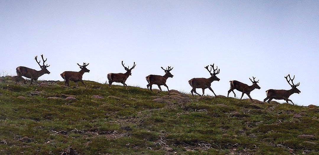 #ایران #مازندران 

عکس:حامد تیزرویان