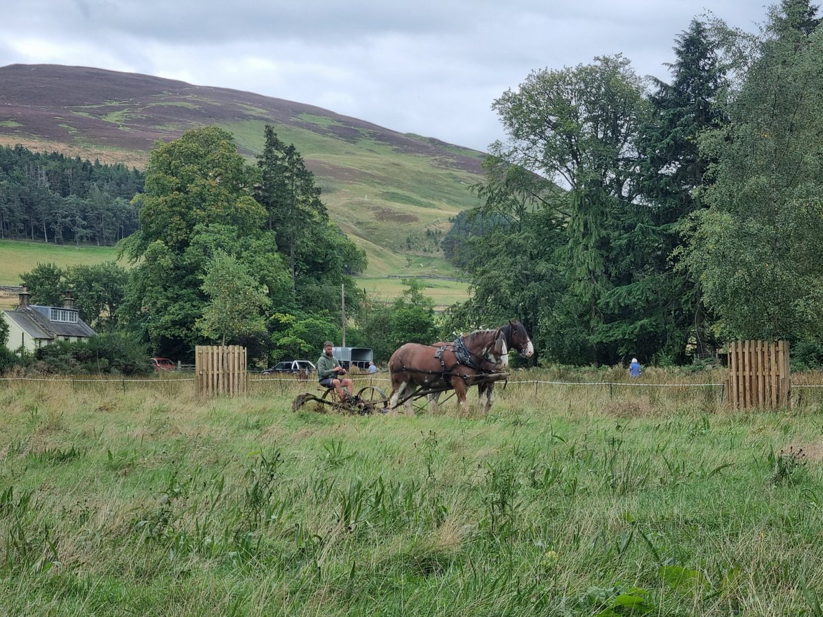 BFTWildlife's tweet photo. A lovely day at #MerlindaleNatureFestival today with lots of people interested in wildlife and horses and scythers cutting the wildflower meadows https://t.co/41jPd0QvHK