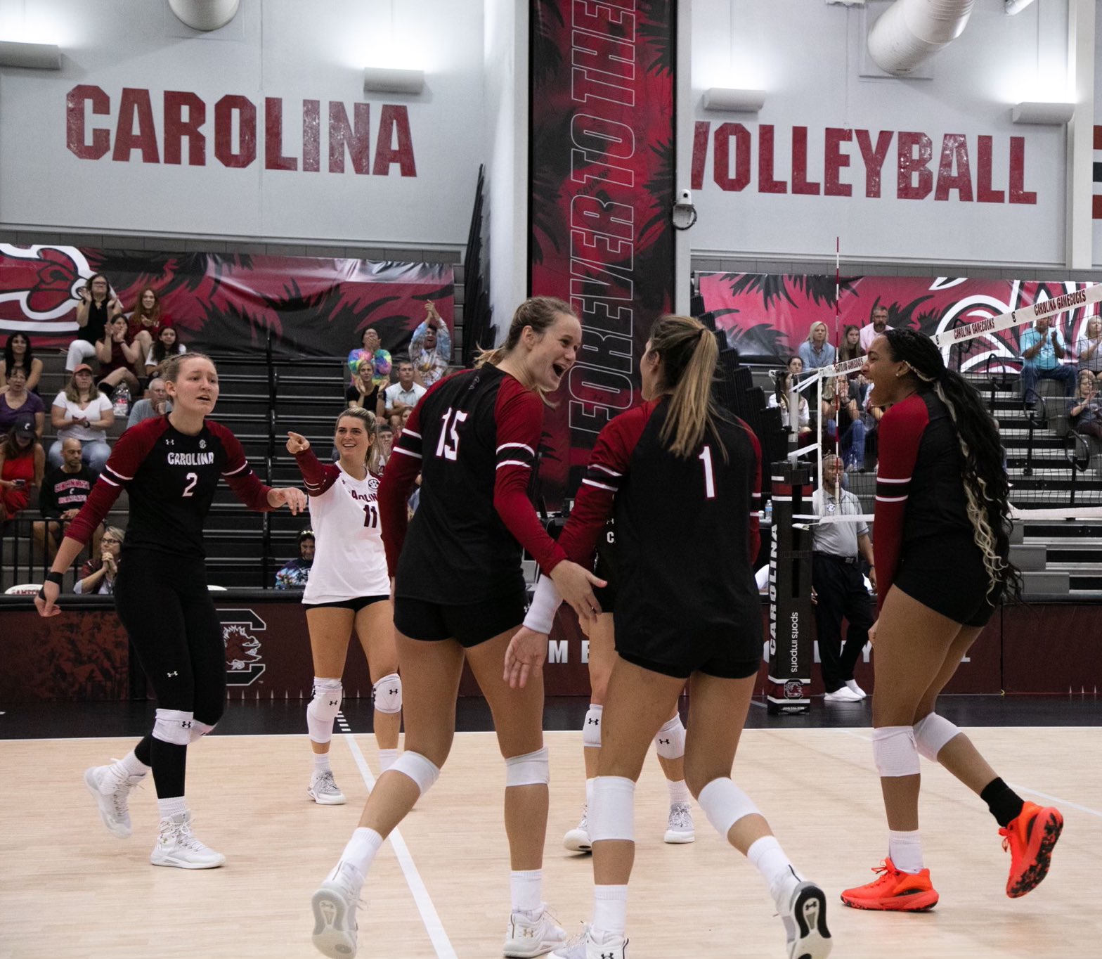 Gamecock Volleyball (GamecockVolley) / Twitter