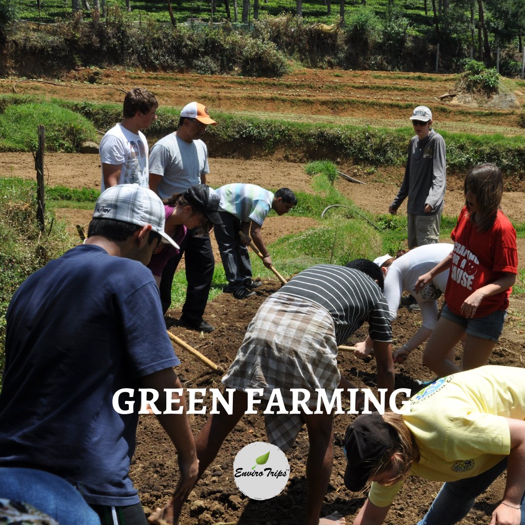 ENVIRO_TRIPS's tweet photo. GREEN FARMING:

• It is also known as #organicfarming

• ‘#greenfarming' is aimed at cultivating the land and raising crops in such a way, as to keep the soil alive and in good health by use of organic wastes and other biological materials. 

#ecofriendly #oraganicfood https://t.co/DyYabgo42G